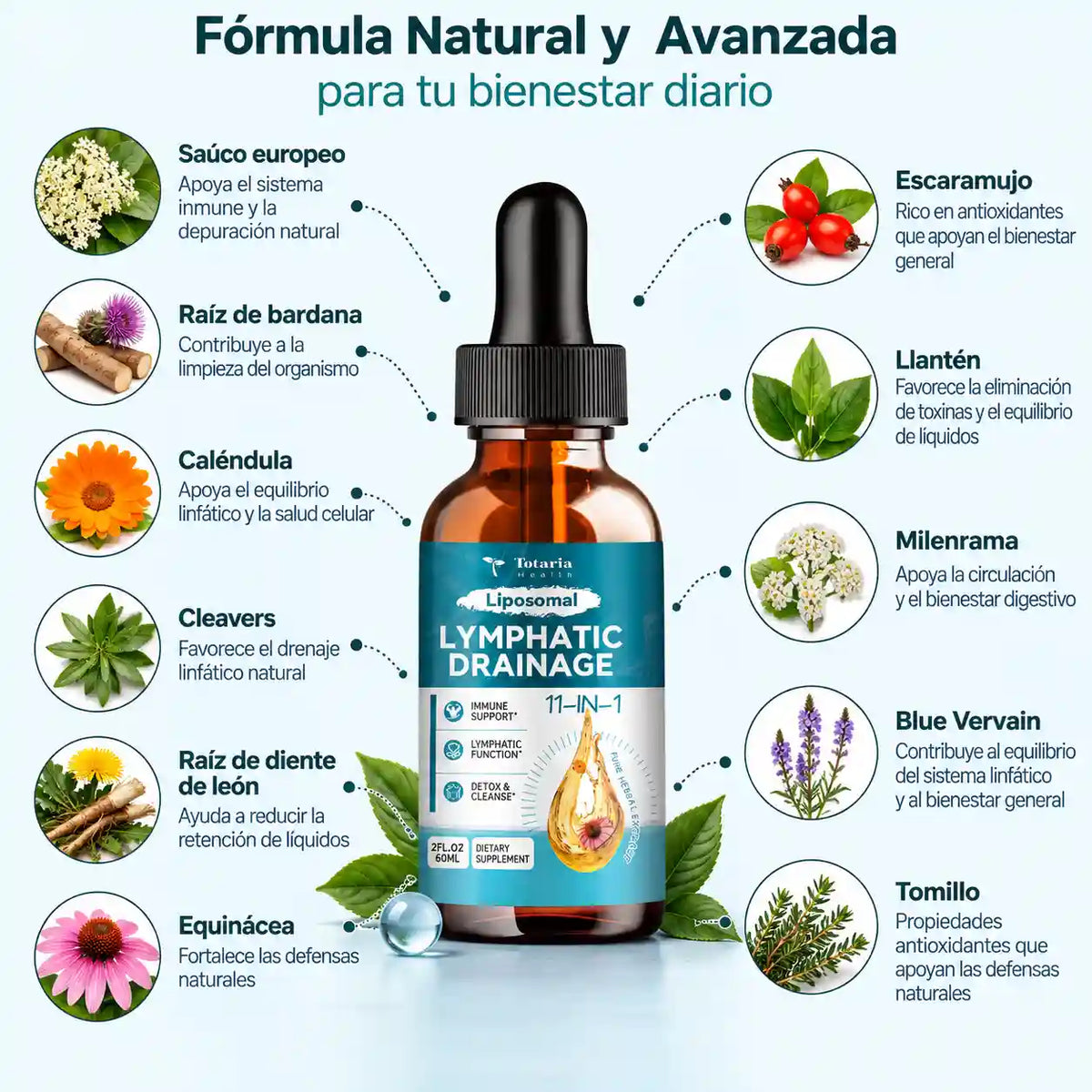 DRENAJE LINFATICO LIPOSOMAL